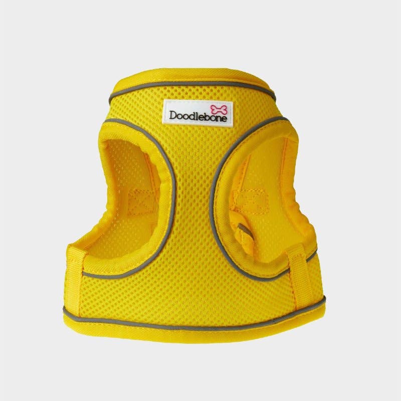 4cats Heimtierbedarf GmbH - Vendita all'ingrosso Pettorina - Cani - Imbracatura Doodlebone® Snappy - 10 colori, 6 misure0