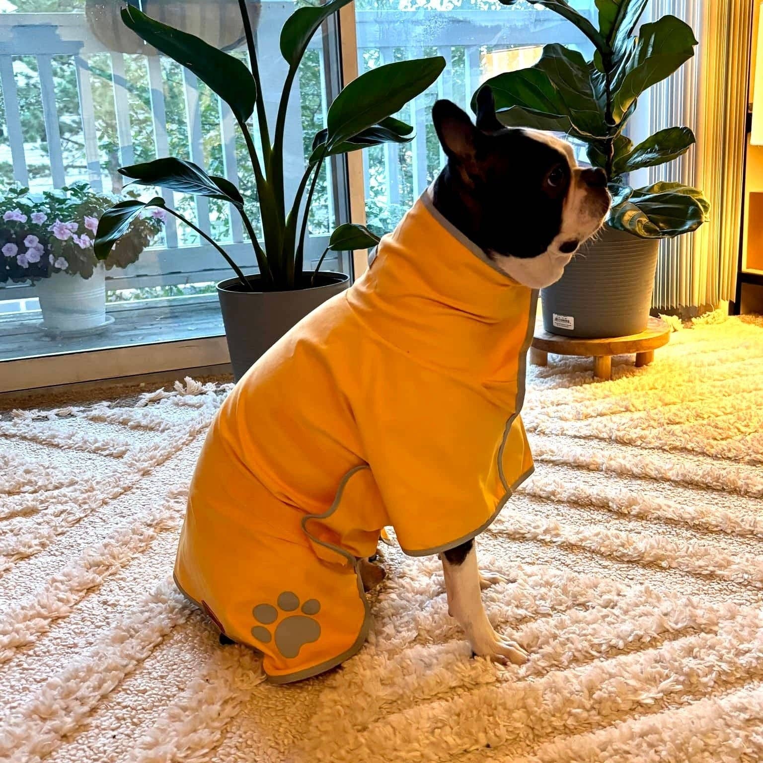 Pouty Paws - Wholesale Pet Towel - Dog - Super Absorbent Lightweight Dog Drying Robe7