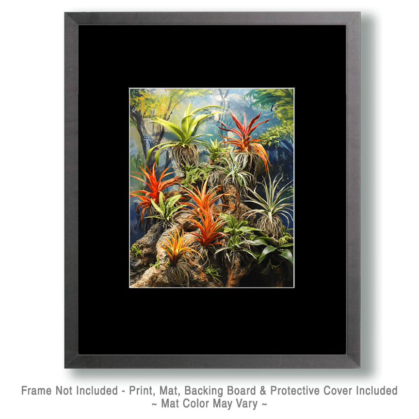 Mowbi - Wholesale Art Print - Air Plant Bromeliads with a Monkey - Bromeliad Air Plant Art Prints - 8"x10" Artwork for 11"x14" Frame1
