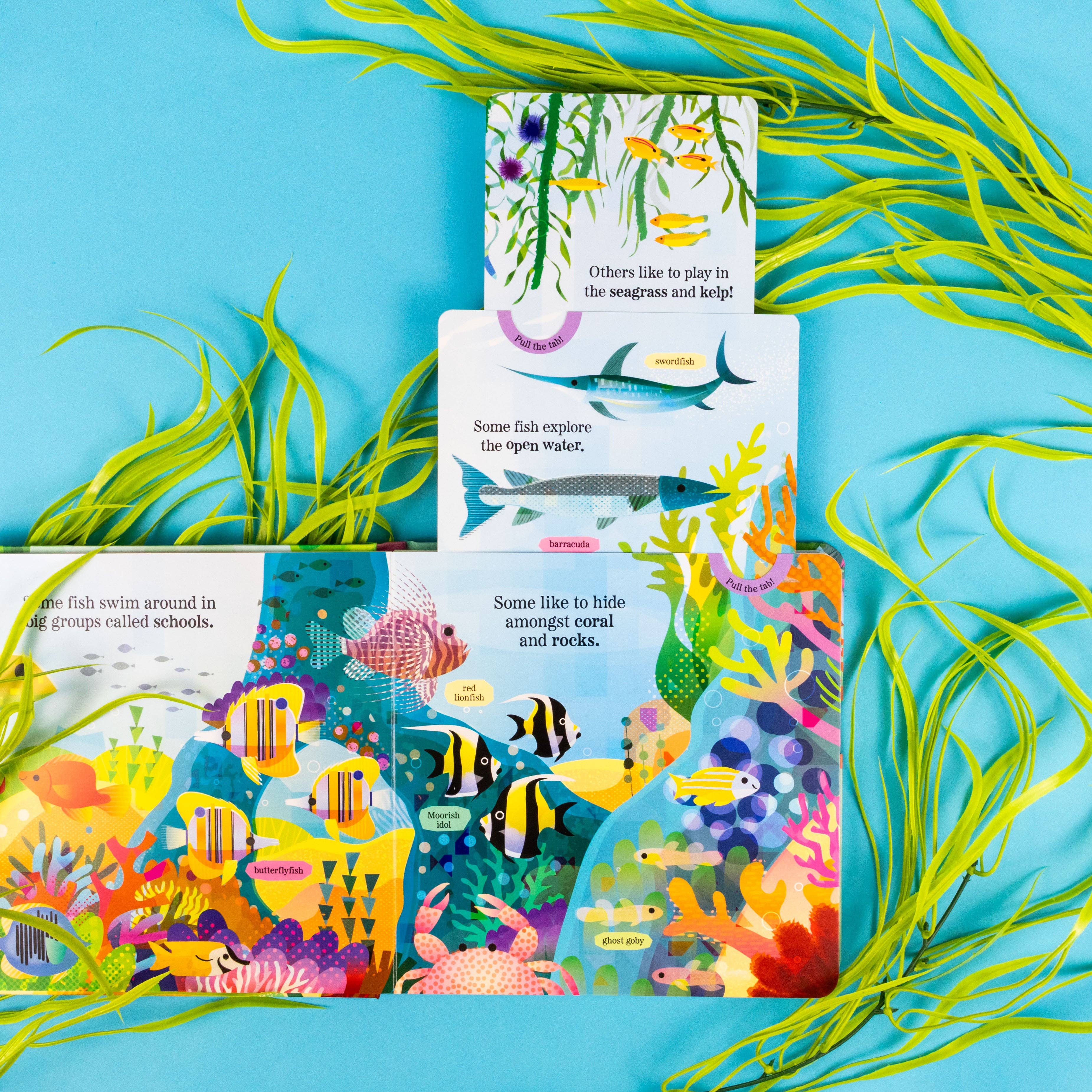 Robert Frederick Ltd – wholesale Pre-school book (3–5) – Fantastic Fish - My Nature Pull-Tab Board Book1