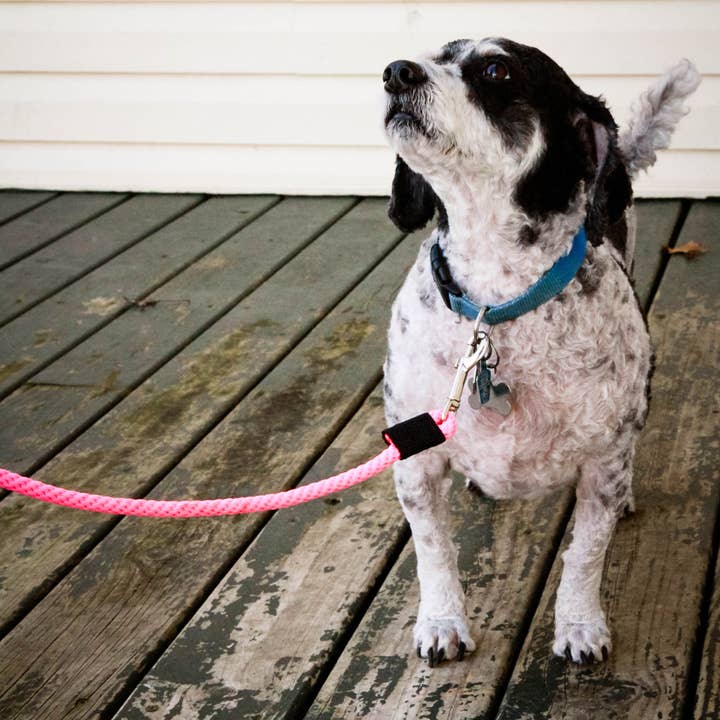 SOFT LINES - Wholesale Pet Leash - Dog - Woven Snap Leash1