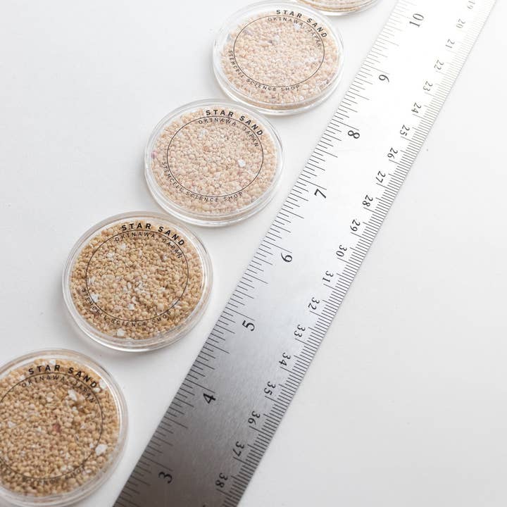 Stemcell Science Shop - Wholesale Decorative Tabletop Object - Japanese Star Sand