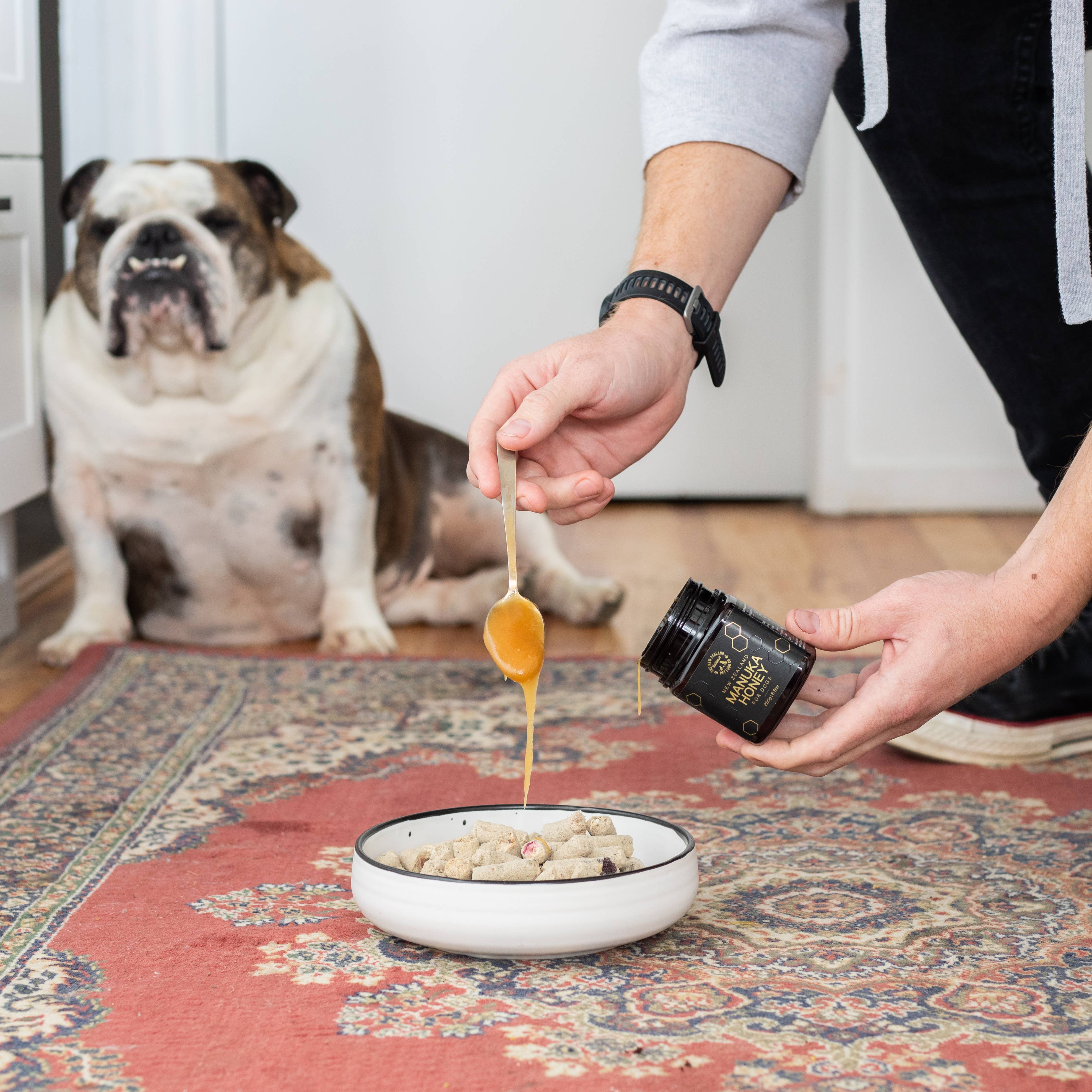 The New Zealand Natural Pet Food Co - Wholesale Pet Treats - Dog - Woof Manuka Honey 8.8oz6