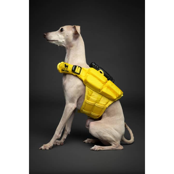 NOAH AND PAW LLC – Großhandel Haustierjacke – Hund – Human Standards Hundeschwimmweste mit 4-facher Schaumpolsterung für maximale Auftriebskraft – Gelb6