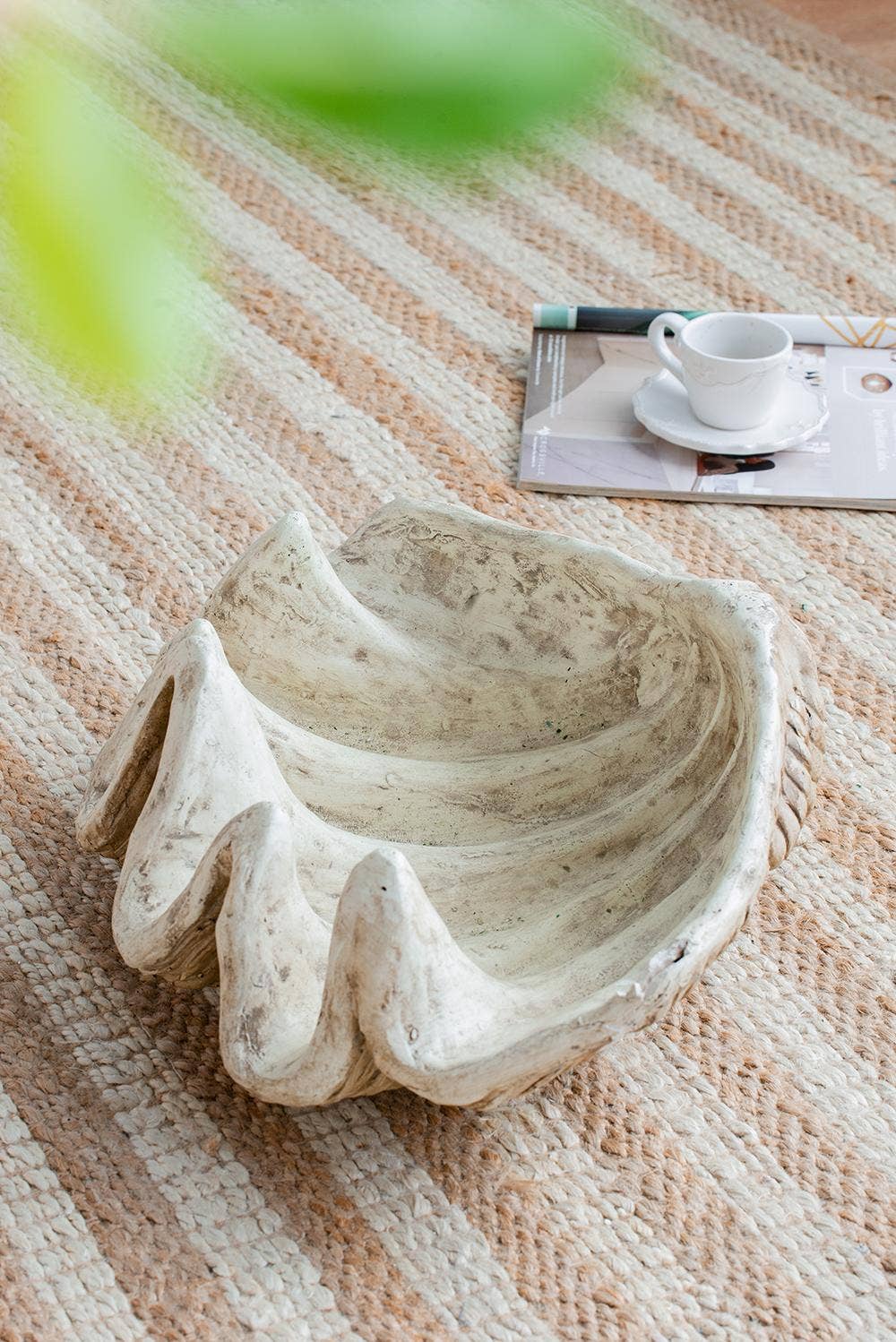 A&B Home Group Inc. - Wholesale Decorative Tabletop Object - Medium Clam Shell Accent5