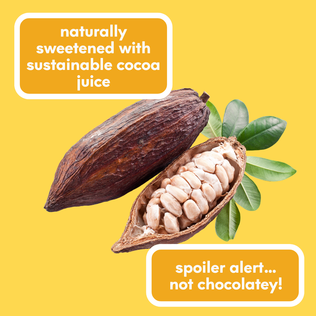 Sweet Freedom – wholesale Sparkling water – Sweet Freedom FIZZ™ Pineapple & Coconut sparkling water, 12x 250ml cans7