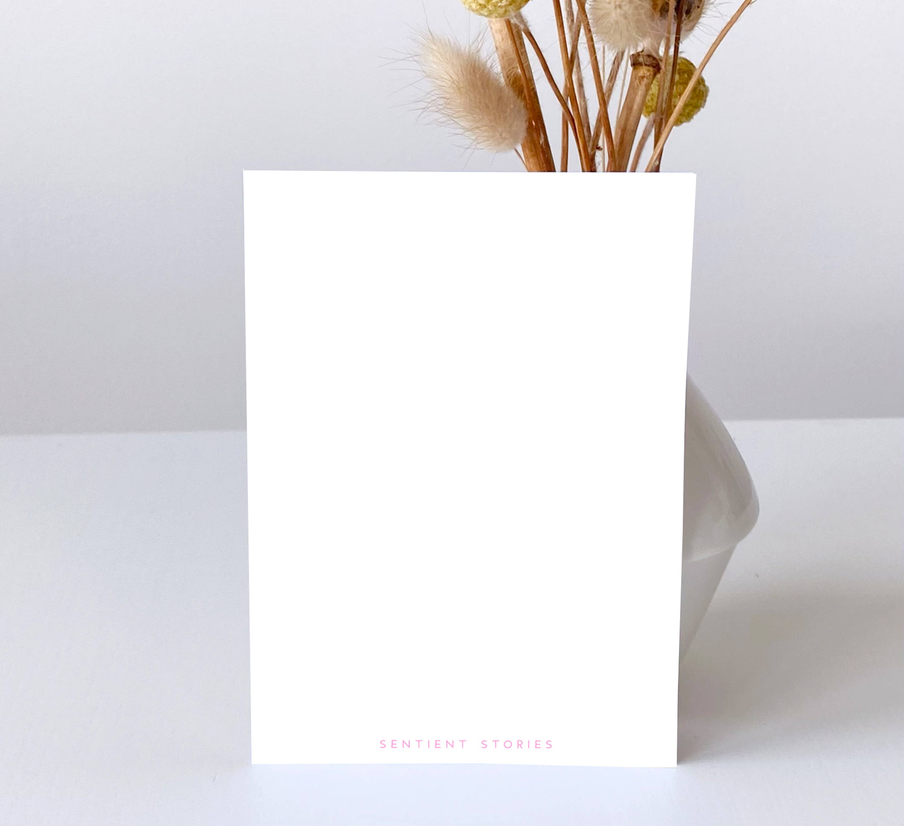 Sentient Stories - Wholesale Postcard - Postcard - Shrimp Stitch3