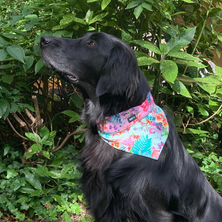 Hop Dog - Wholesale Pet Bandana - Dog - Exotic dog bandana