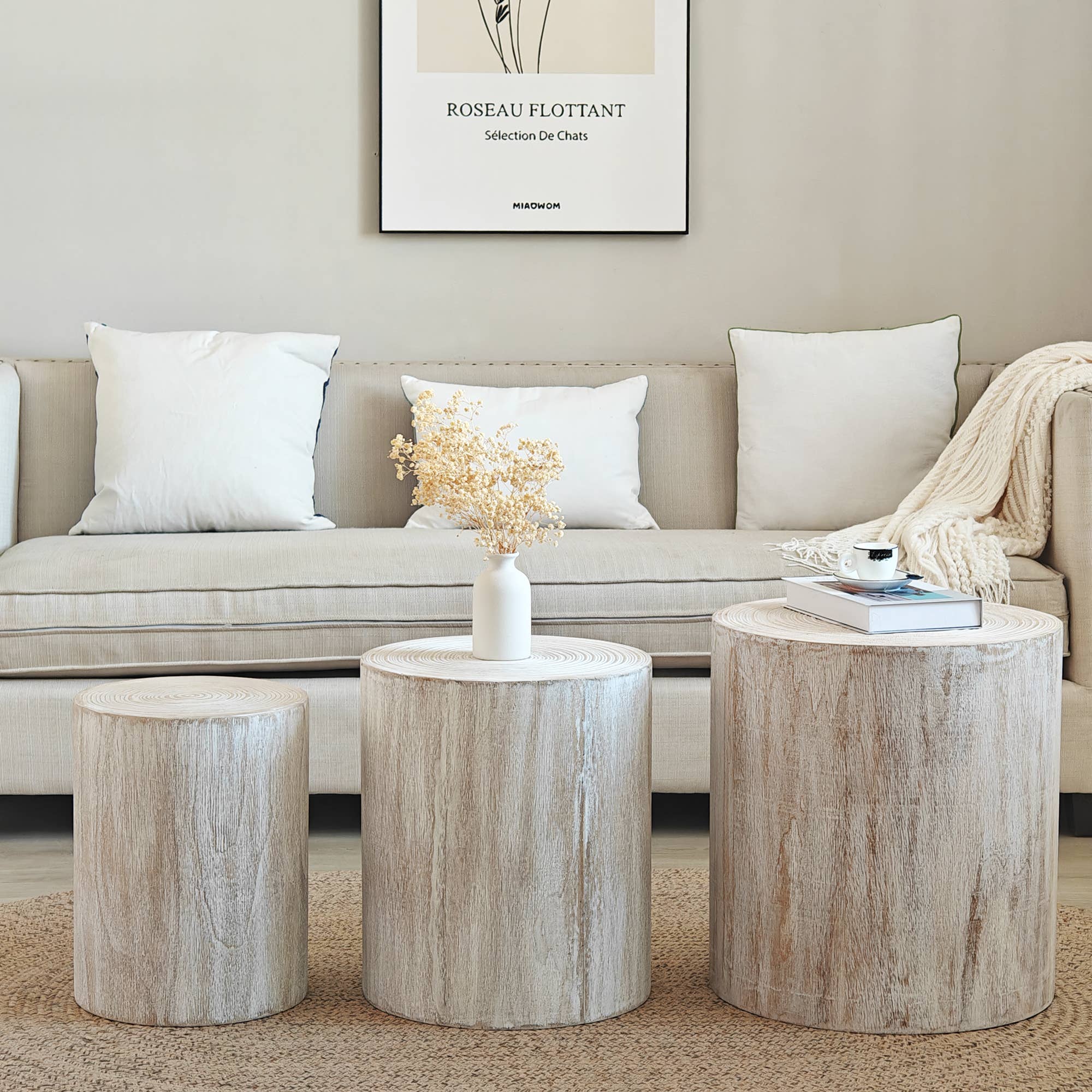 39F Inc. - Wholesale Coffee Table - Set of 3 Whitewashed Wood Coffee & End Tables, Plant Stands1