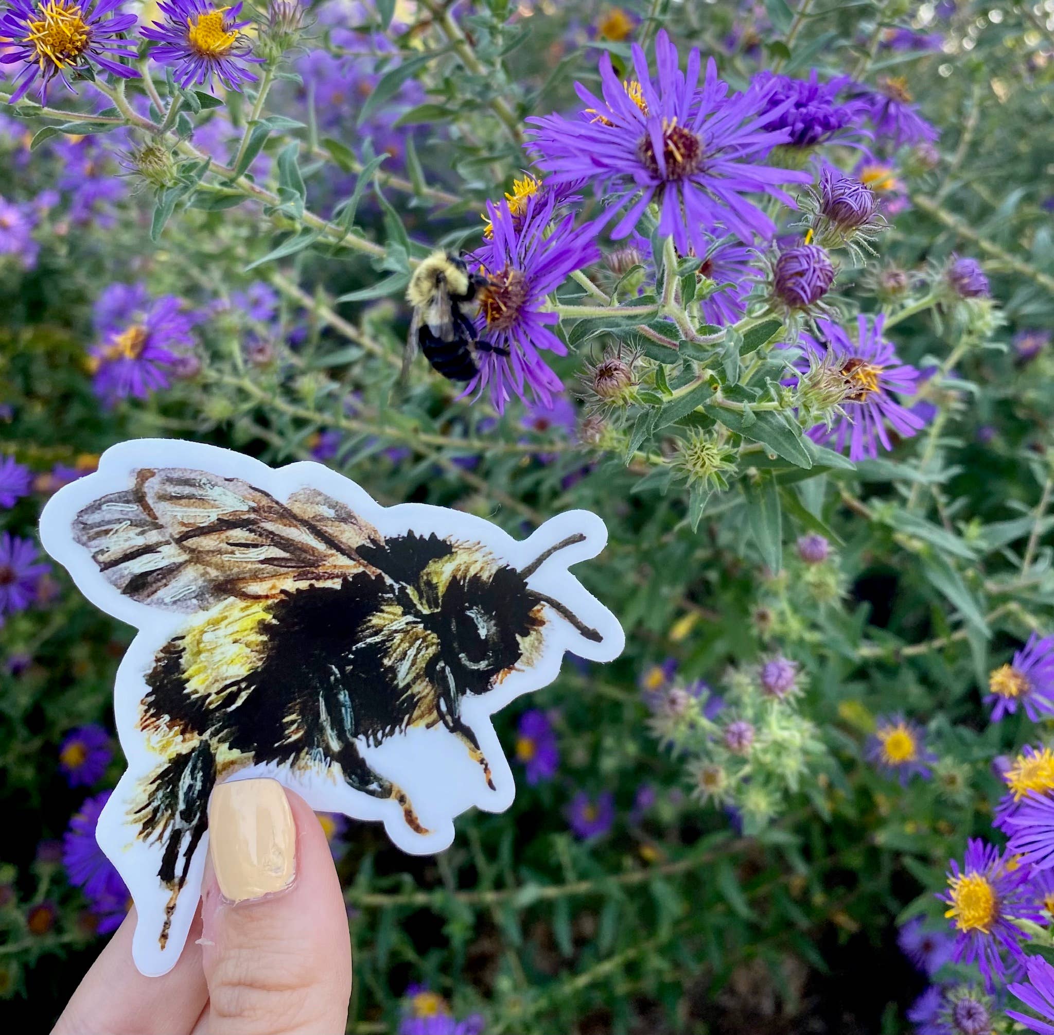Brush & Bark - Wholesale Sticker - Bumblebee Sticker2