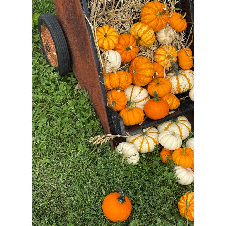 z Vykort Fotografi Pumpor_02 för wholesale av PhotoWord Art