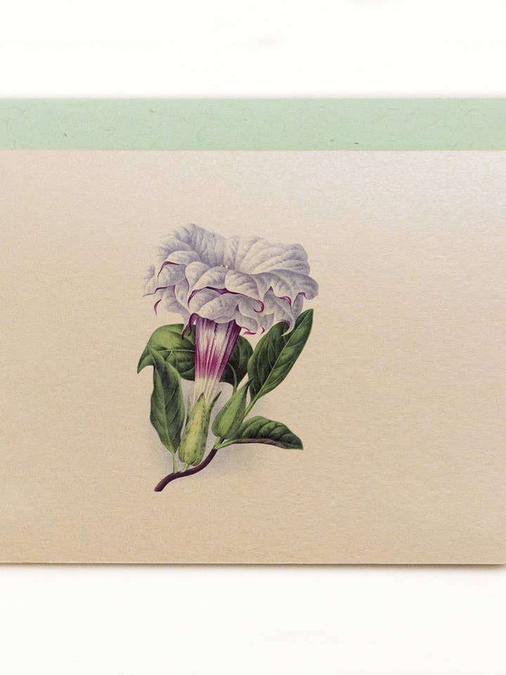 Datura Cornucopia Notecard for wholesale by Lilybranch