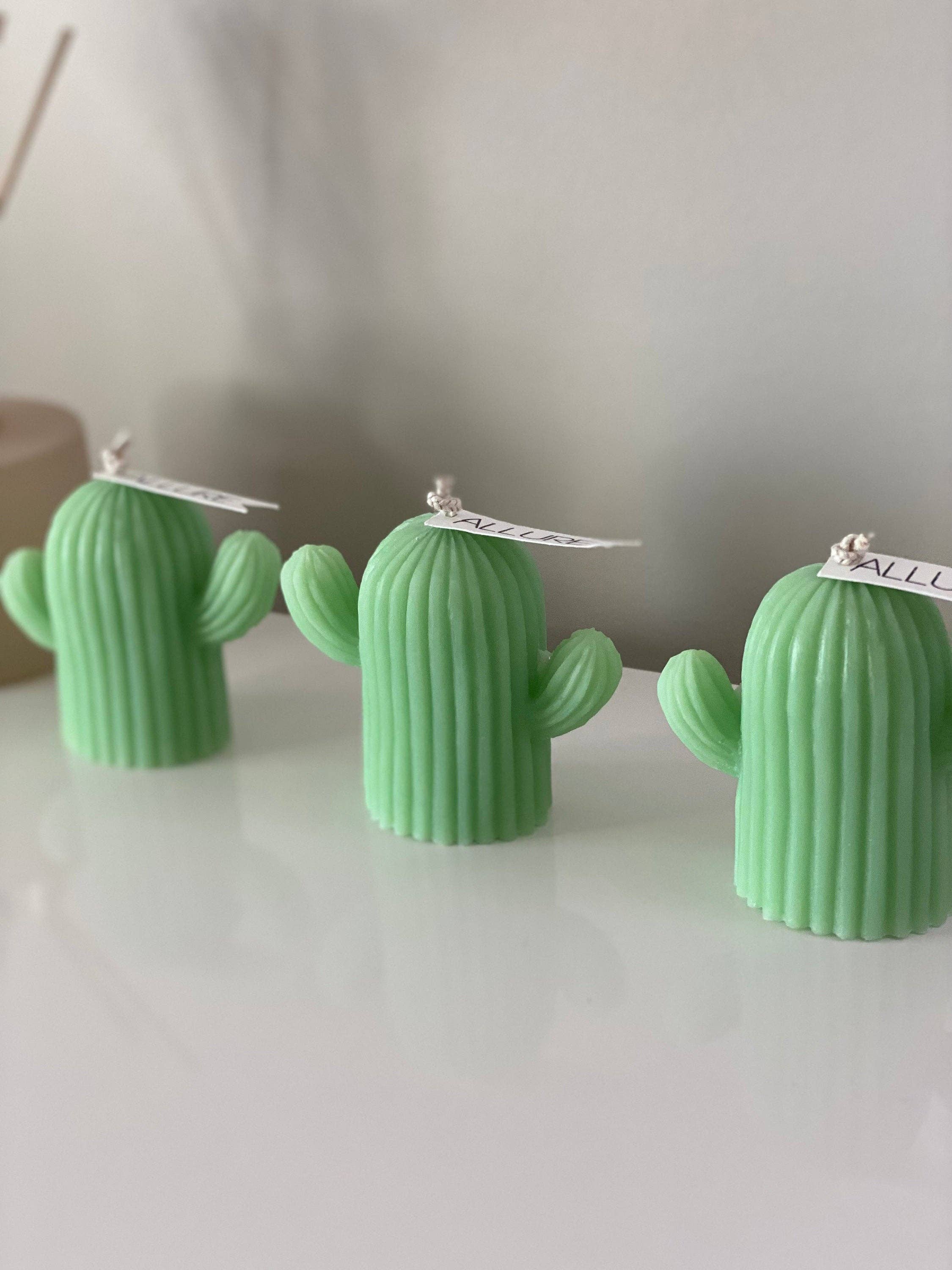 Allure Wax Works – Großhandel Geschenkkerze – Kaktus-Kerze0