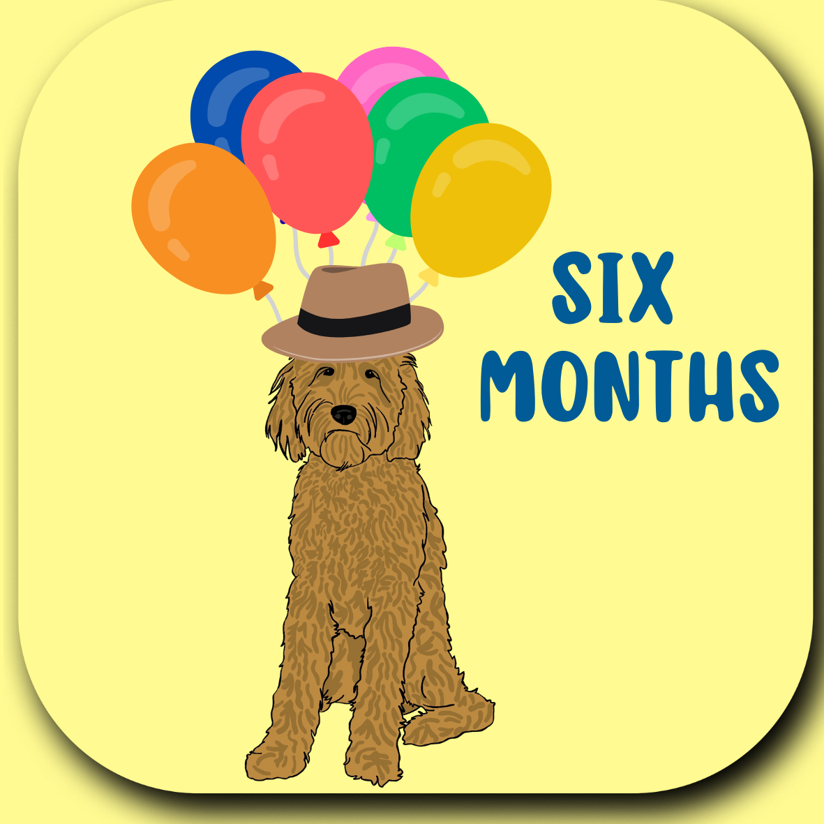 Wild & Wright - Wholesale Milestone Art/Keepsake - Kids & Baby - Welcome to the Pack Milestone Card Set8