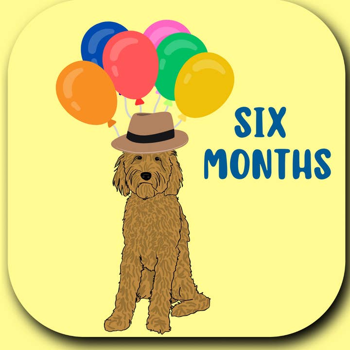 Wild & Wright - Wholesale Milestone Art/Keepsake - Kids & Baby - Welcome to the Pack Milestone Card Set8