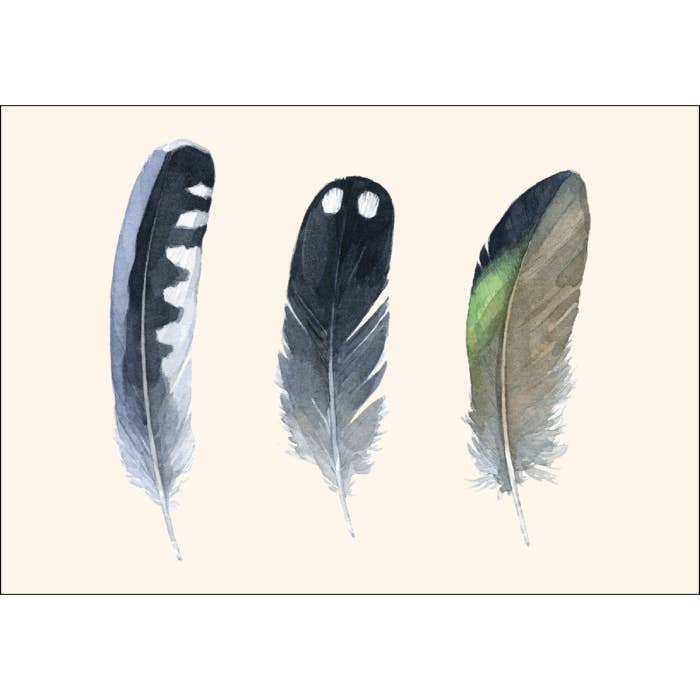 Earth Sky + Water - Wholesale Stationery/Notecard Set - Waterbird Feathers1