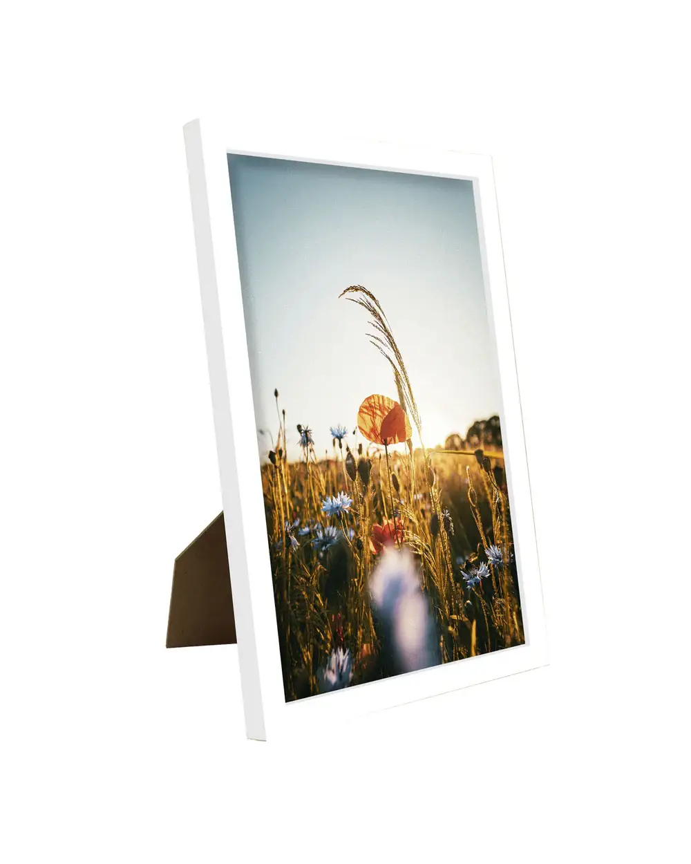 Close Up GmbH – wholesale Bildram – Close Up affischram, fotoram 20 x 30 cm vit 3-pack2