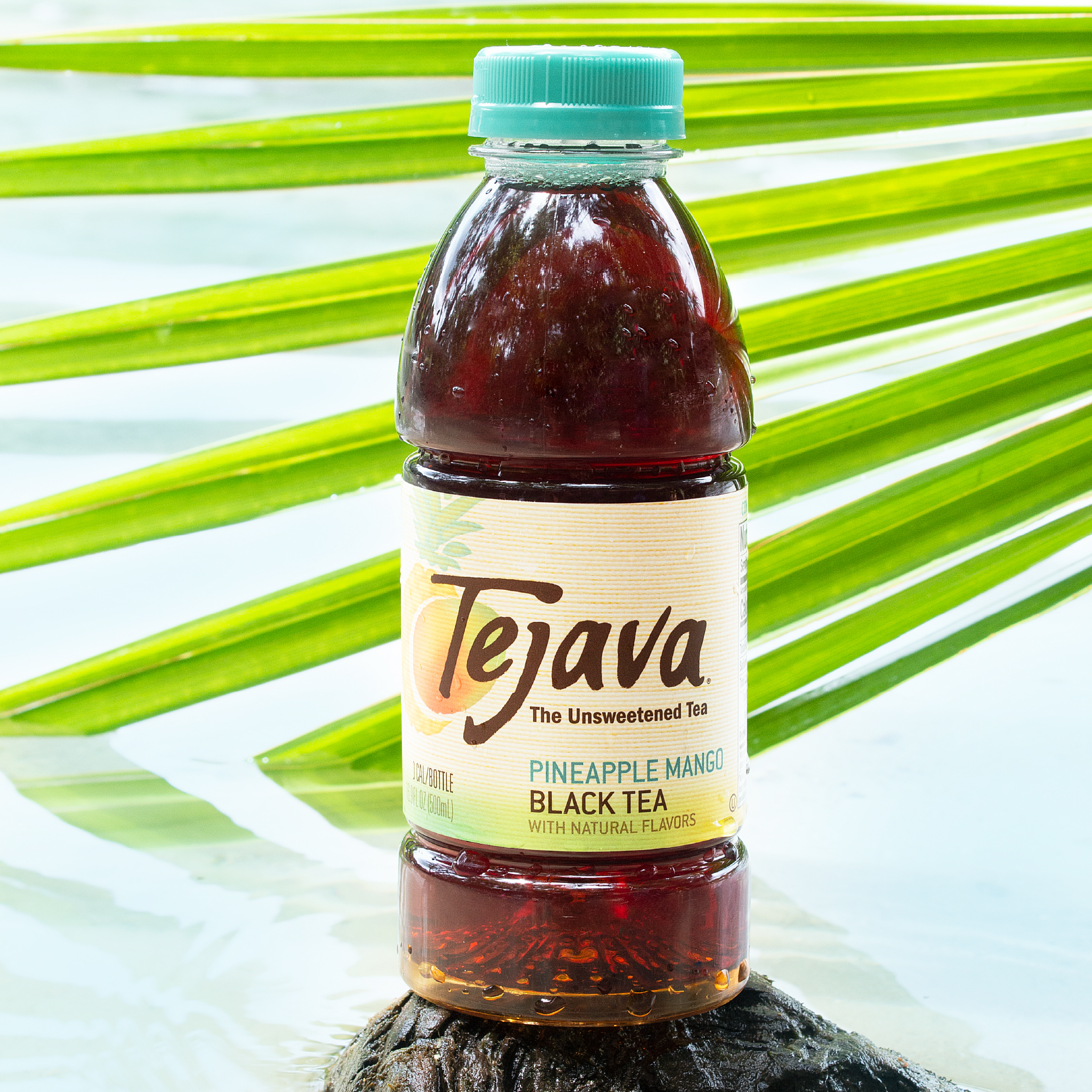 Crystal Geyser Water Company - Wholesale Iced Tea - Tejava Unsweetened Pineapple Mango Iced Tea (pack of 12)7