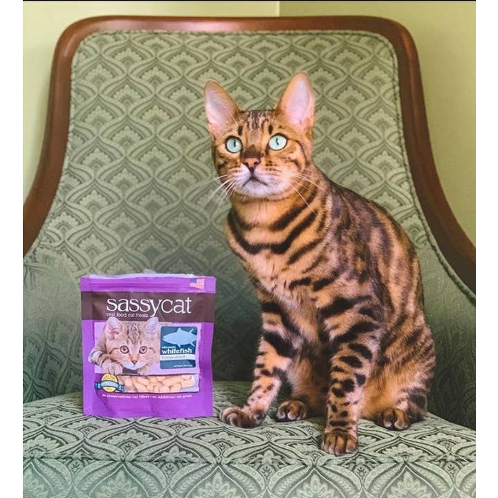 Herbsmith - Wholesale Pet Treats - Cat - Sassy Cat Freeze-Dried Treats7
