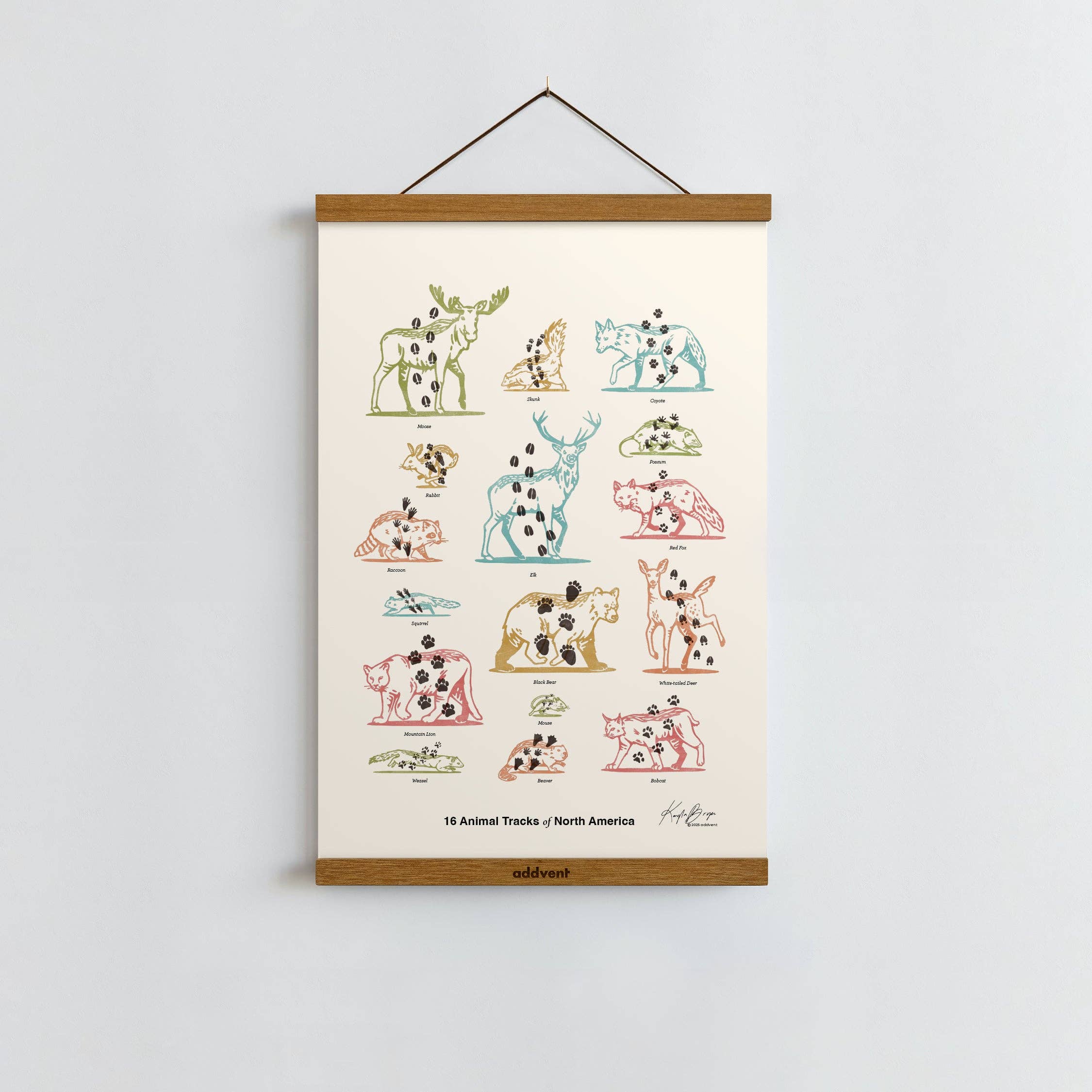 Addvent - Wholesale Art Print - Animal Tracks of North America / Poster Art Print2