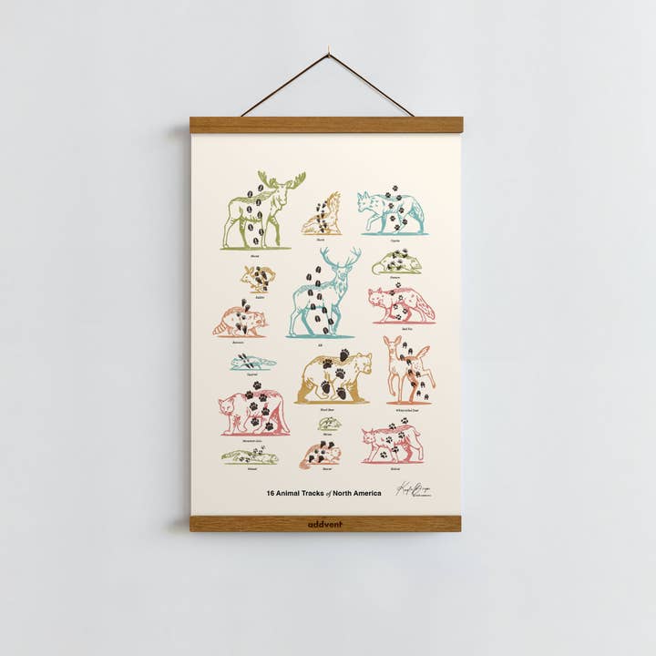 Addvent - Wholesale Art Print - Animal Tracks of North America / Poster Art Print2