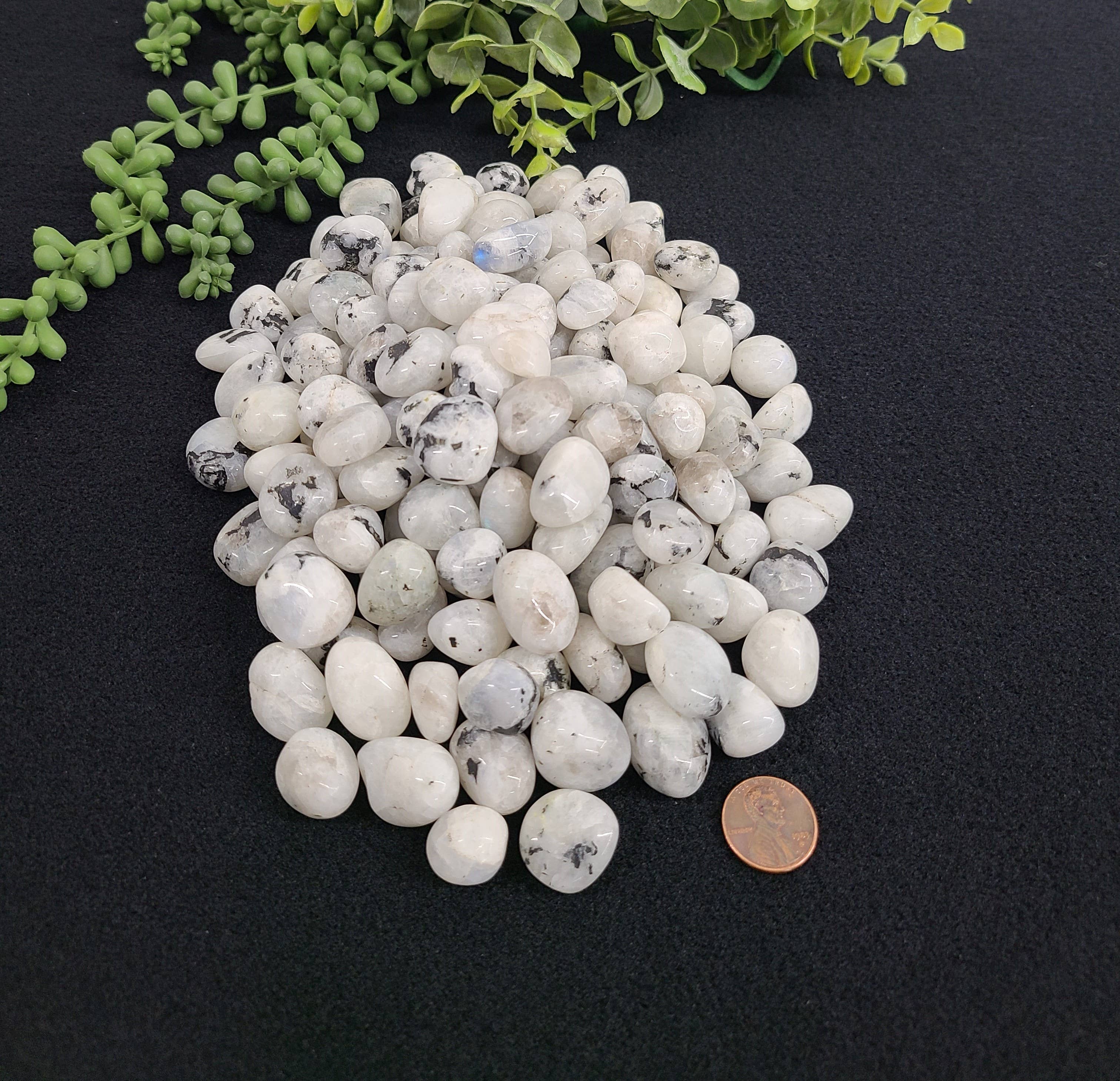 Meraki Gemstones - Wholesale Spiritual Stone/Crystal - Rainbow Moonstone Tumbled Stones 20-25mm  (0.5kg/1.1 lbs.) 1