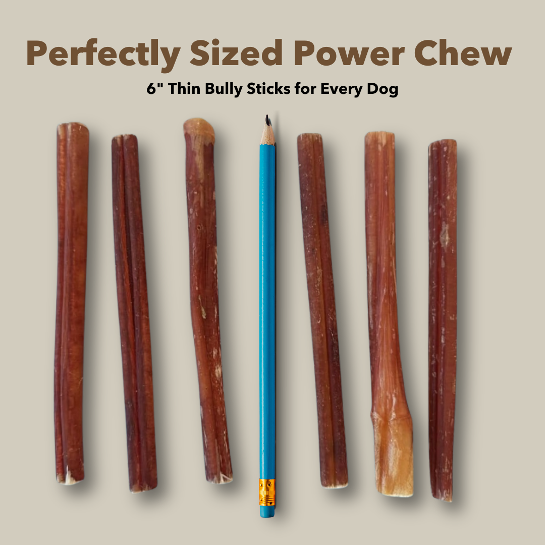 Mighty Chewz - Wholesale Pet Treats - Dog - 6" Thin Bully Sticks $0.96/ Stick (Case Price))7