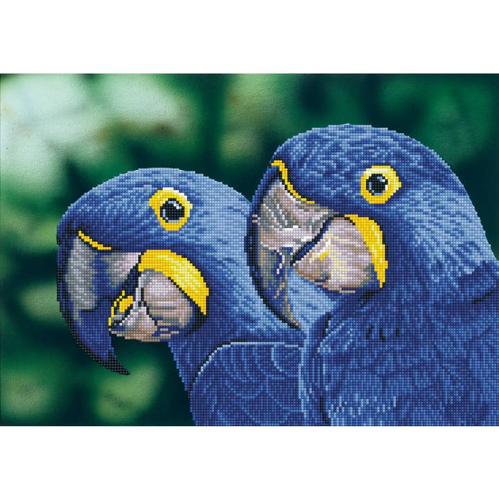Blue Hyacinth Macaws for wholesale by DIAMOND DOTZ®