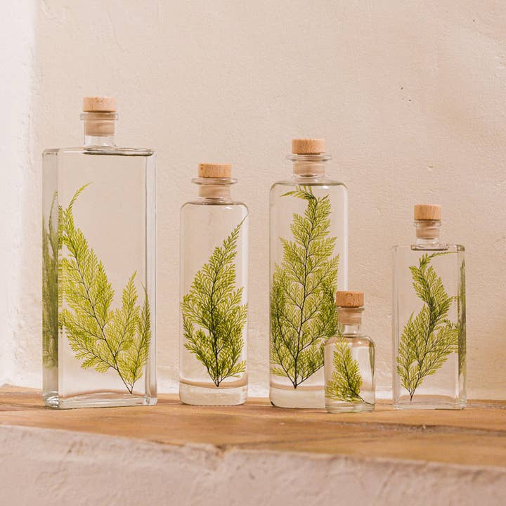 The Tabalia Fern Herbarium - submerged plant and other Purchase Wholesale ghirlanda primaverile. Free Returns & Net 60 Terms on Faire trending on Faire.