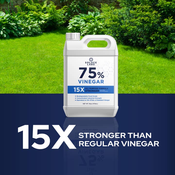 Solace - Wholesale Antibacteriële reiniger - 75% Pure Azijn - 15X Geconcentreerde Industriële Kwaliteit Bio D4