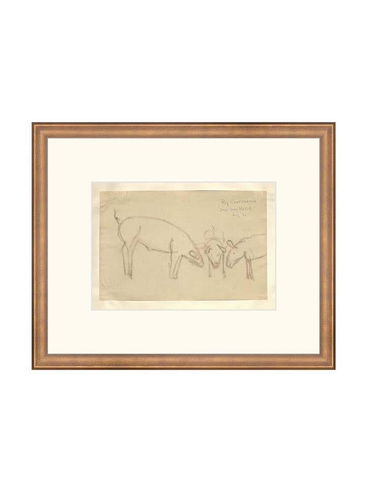 Boceto de cerdos para venta al por mayor de Splendus