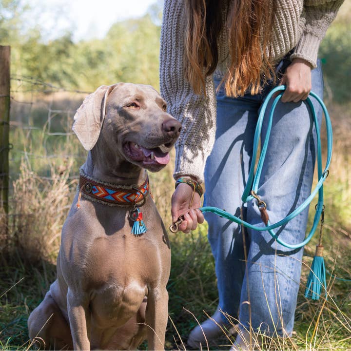 Extra Long Aqua Blue Dog Leash XXS for wholesale by Dog with a Mission