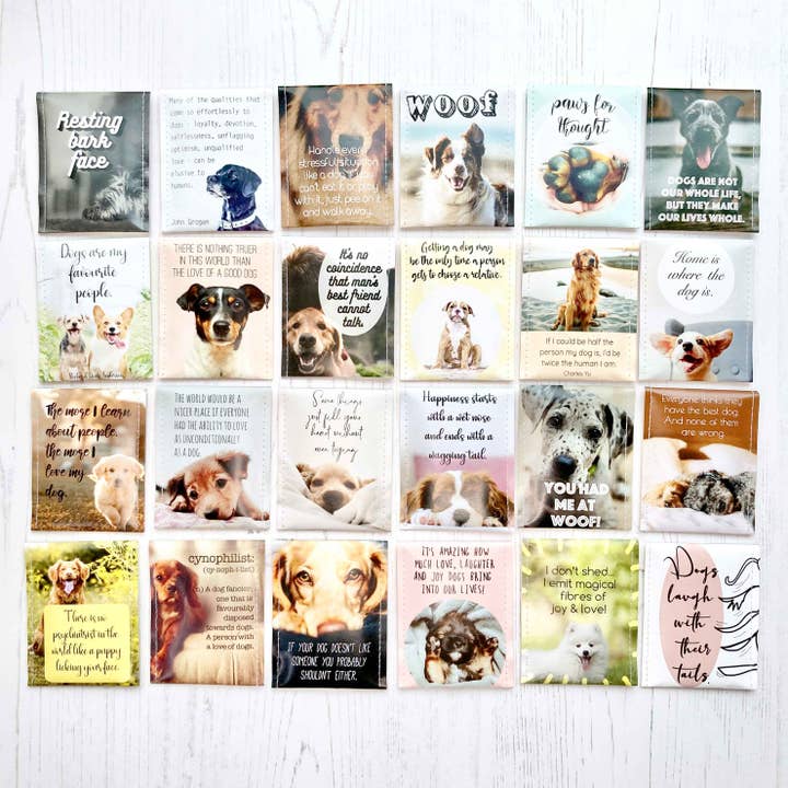 Victoria Mae Designs – Großhandel Teebeutel – Hundefreunde Tee-Geschenkset1