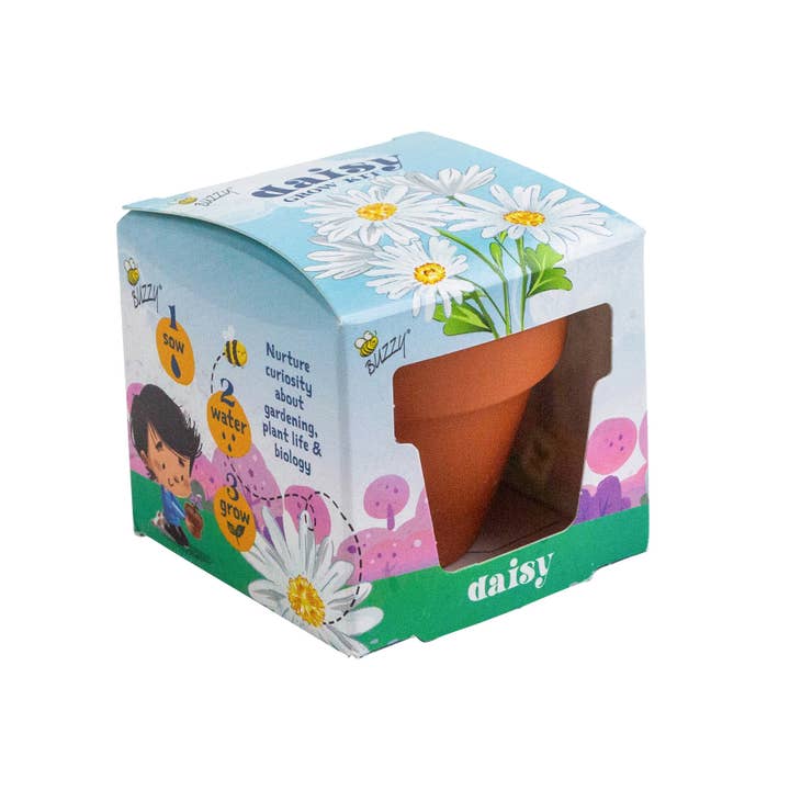 Buzzy, Inc. - Wholesale Plant Seeds - Buzzy Seeds Mini Terracotta Pots - Daisy Grow Kit