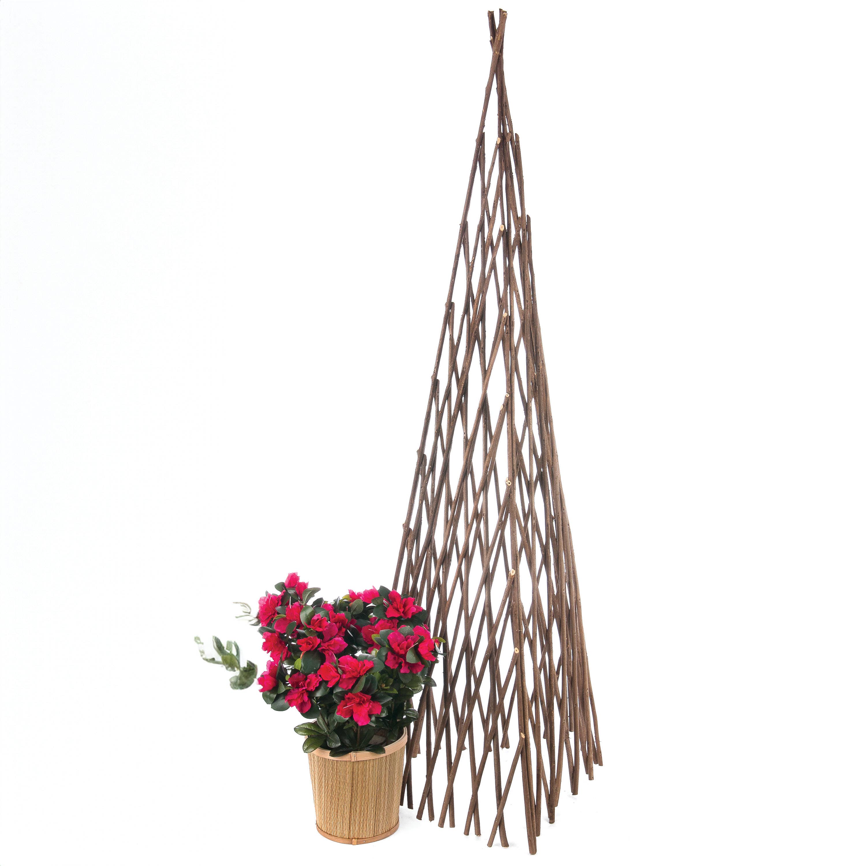 Willow Group - Wholesale Trellis - Acacia Expanding Trellis Floral Home Decor2