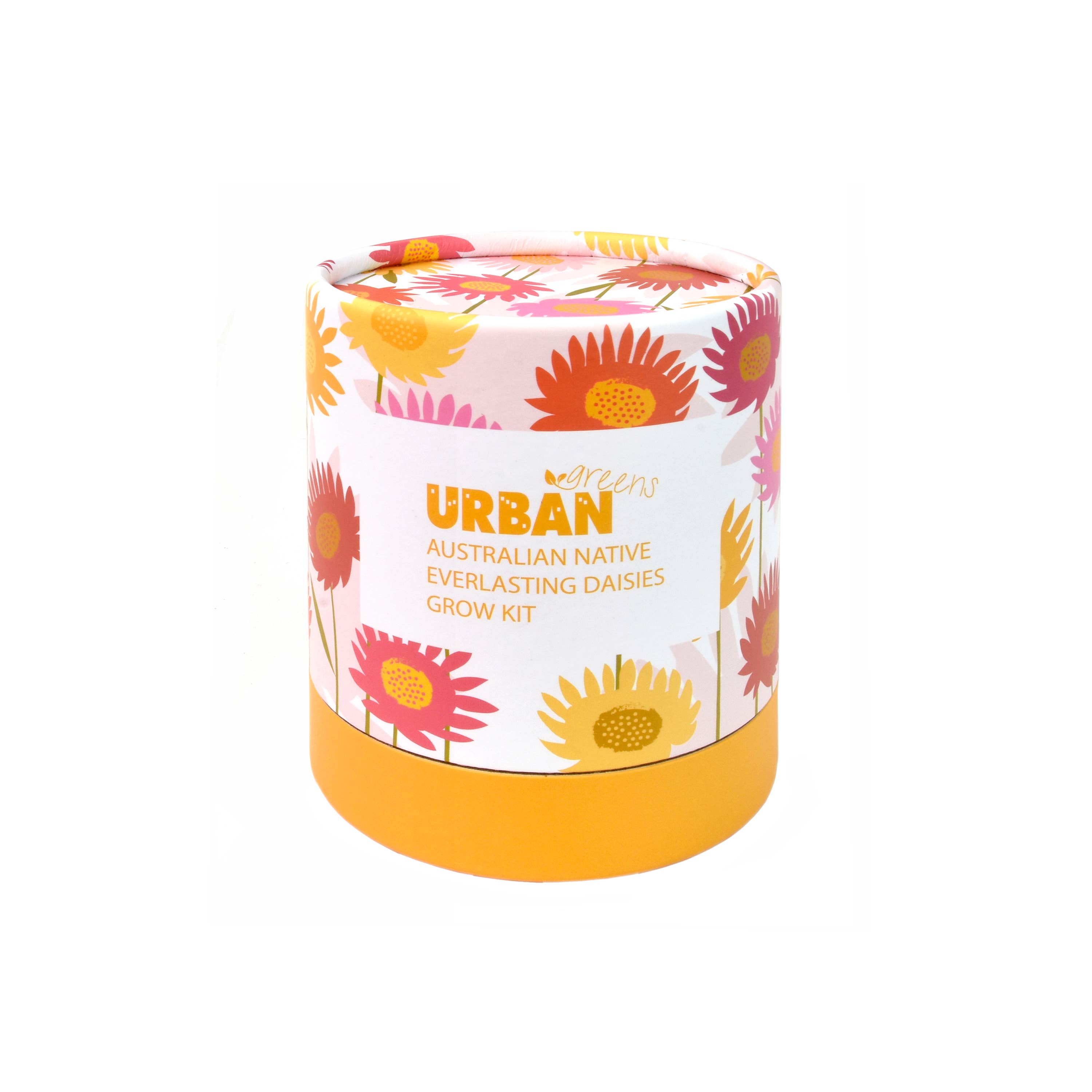 Urban Greens - Wholesale Plant seeds - Urban Greens Australian Native Everlasting Daisies Grow Kit