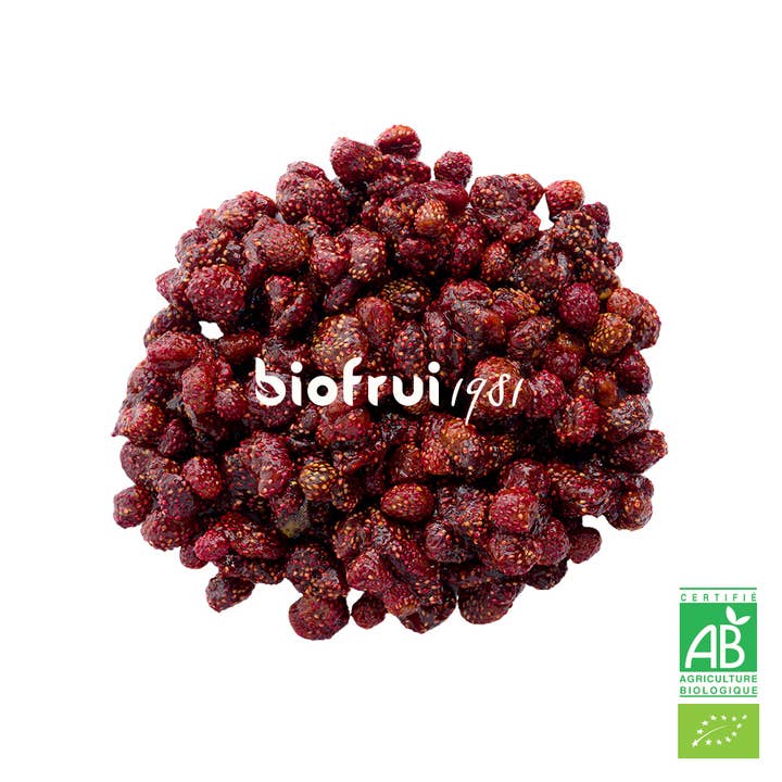 BIOFRUI1981 / Ex-Biofruisec - Wholesale Dried/Dehydrated Fruit - Organic Wild Strawberry Dinaric Alps Dried | Zip Bag 100g1