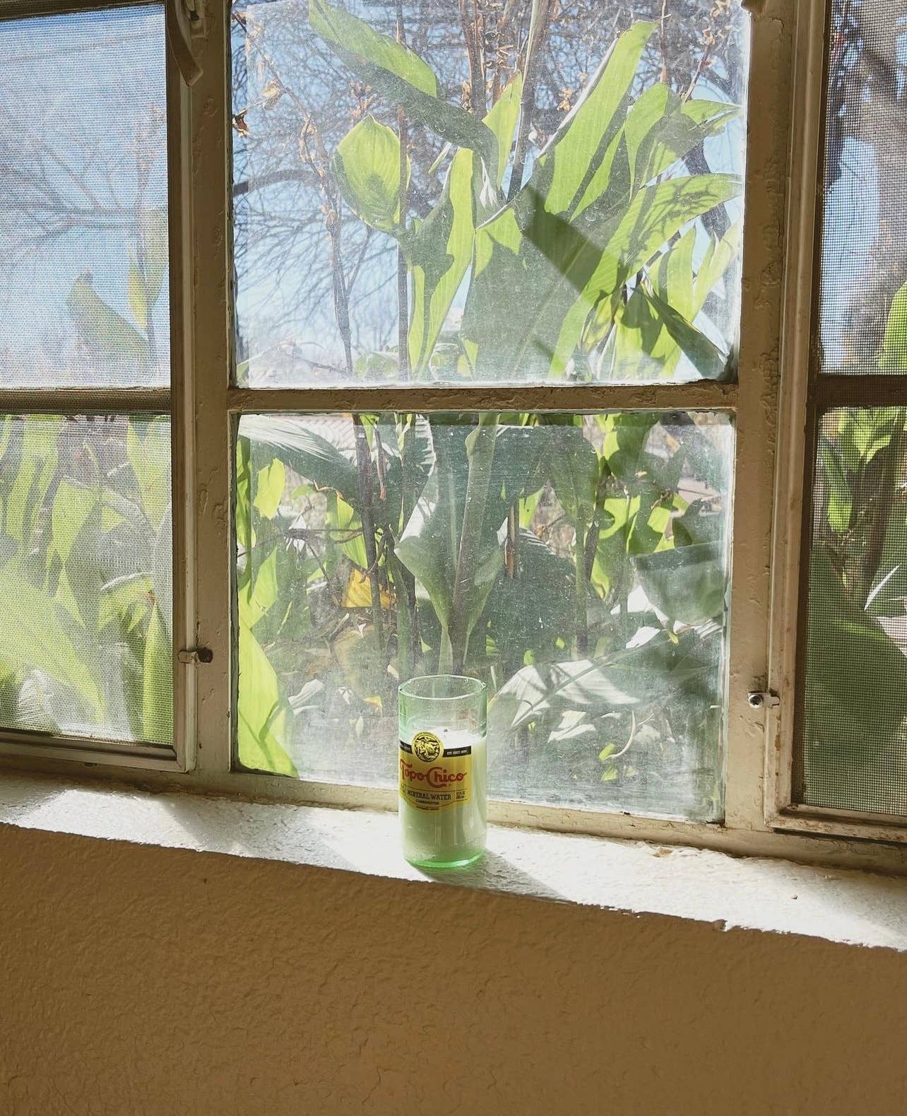 Project Happiness Candle Co. - Vente Bougie en bocal - Bougie en cire de soja parfumée aux agrumes tropicaux Topo Chico - 8oz8