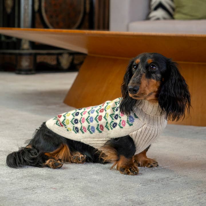 Alqo Wasi - Wholesale Pet Sweater - Dog - Flower Alpaca Dog Sweater