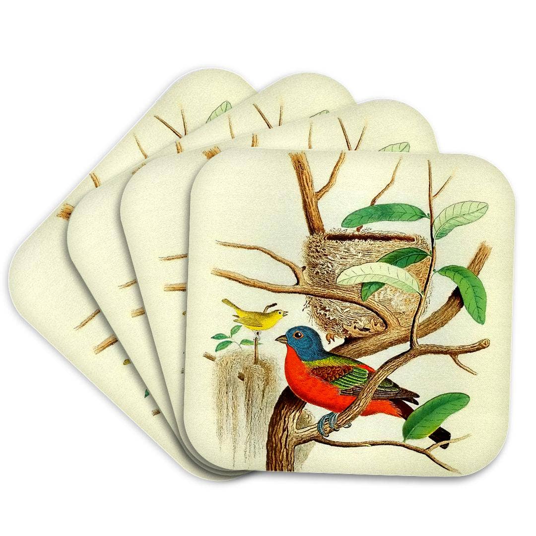 3dRose - Wholesale Coasters - 3dRose, Vintage Bird Print Painted Bunting Colorful Birds Art Illustration, Coaster7