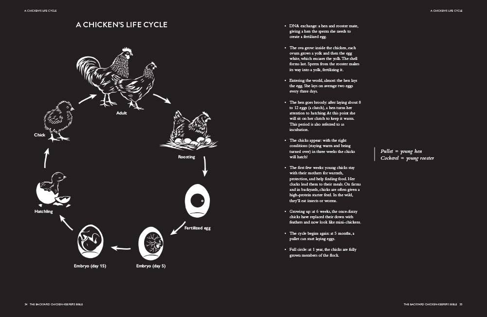 Abrams - Wholesale Pets - Backyard Chicken Keeper's Bible1