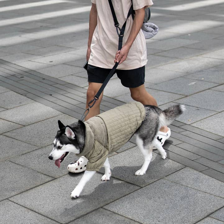 Lambwolf Collective - Wholesale Pet Coat - Dog - SOHO//DOG CLOTHING//APPAREL