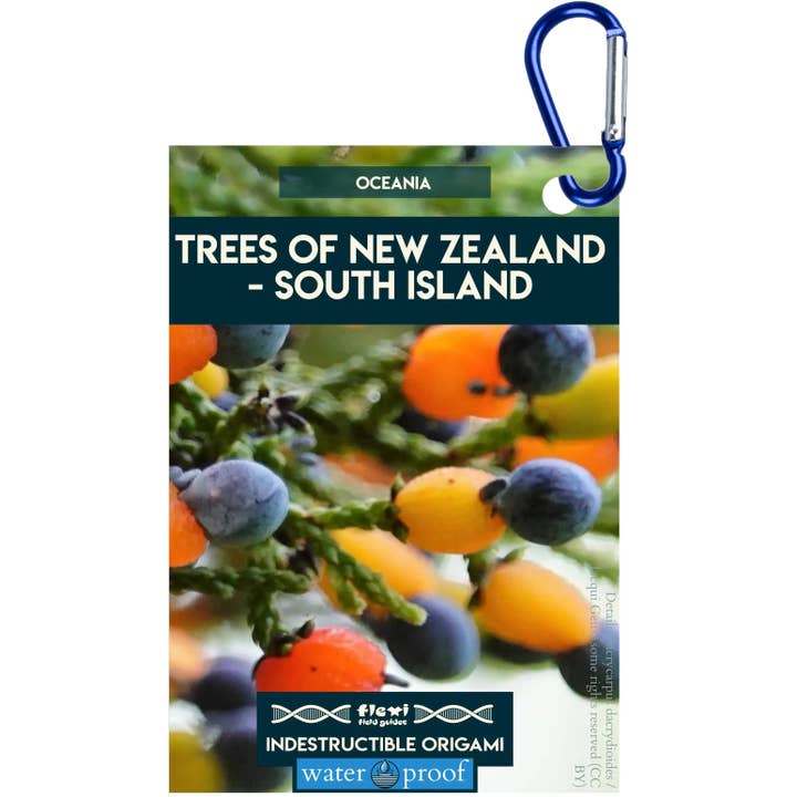 Träd på Nya Zeelands Sydö - Oförstörbar Origami för wholesale av Flexi Field Guides