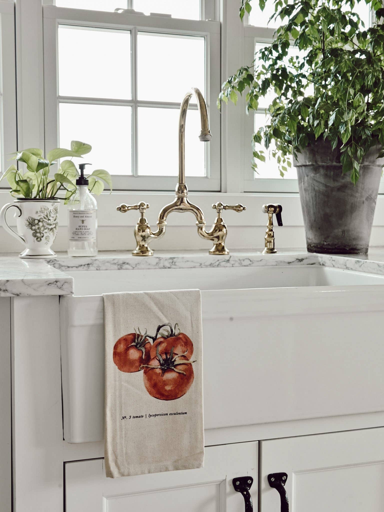 DWELL Home Shoppe - Wholesale Tea Towel - Fruits/Veggies in Color Tea Towel9