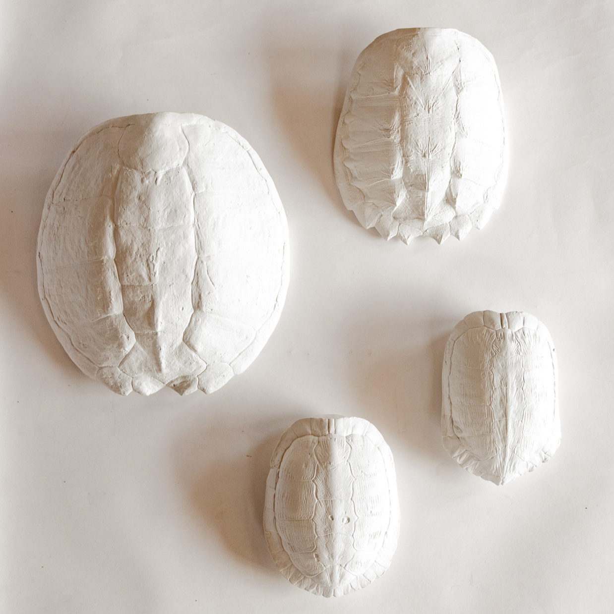 House Parts, Inc. - Wholesale Wall Accent - Sea Turtle Shell1