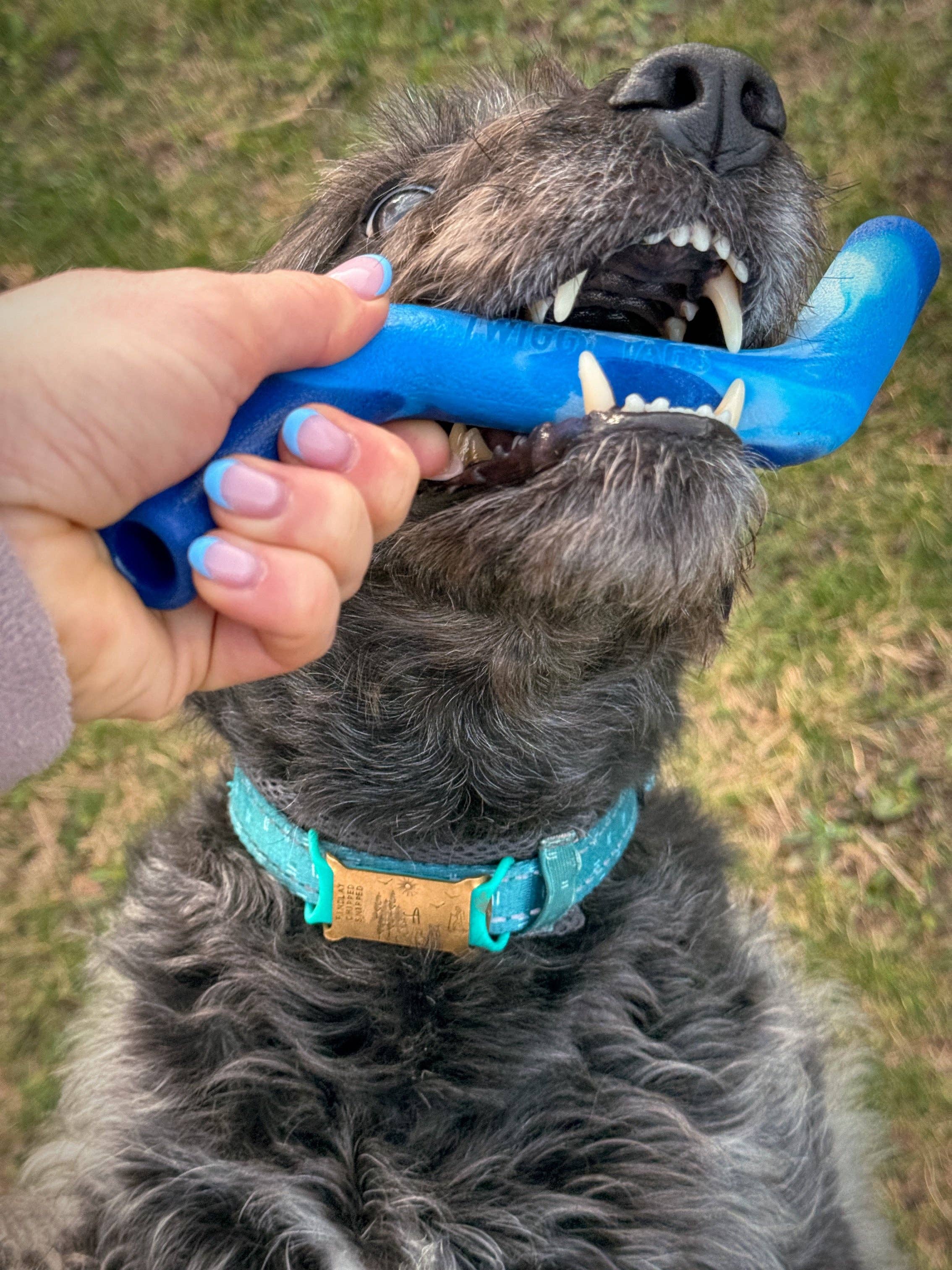 Twiggy Tags – wholesale Pet fetch ball – Dog – ZigZoom™ Interactive Safe Fetch Recycled Rubber Dog Toy4