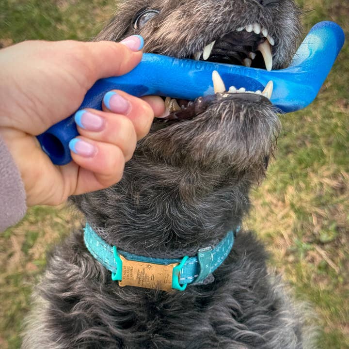 Twiggy Tags – wholesale Pet fetch ball – Dog – ZigZoom™ Interactive Safe Fetch Recycled Rubber Dog Toy4