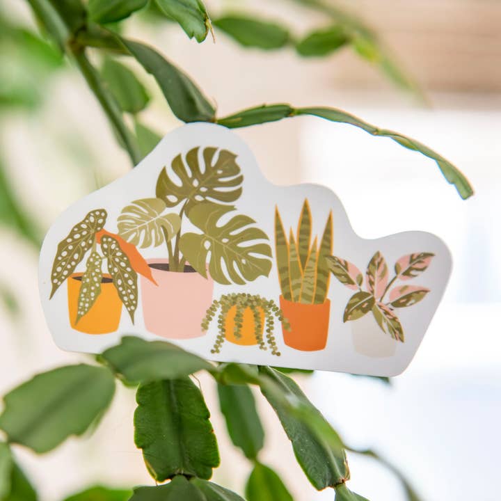 Emily Ervin Design Co. - Wholesale Sticker - Plant Lineup - Laminated Vinyl Phone / Laptop Sticker