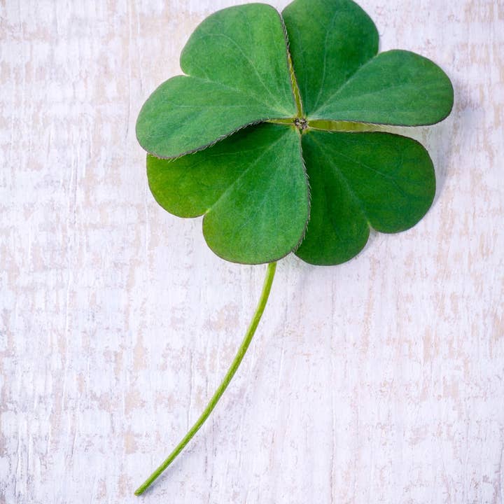 Bâtonnets d'encens Lucky In Love* pour la vente par Beaches of Tunisia, LLC