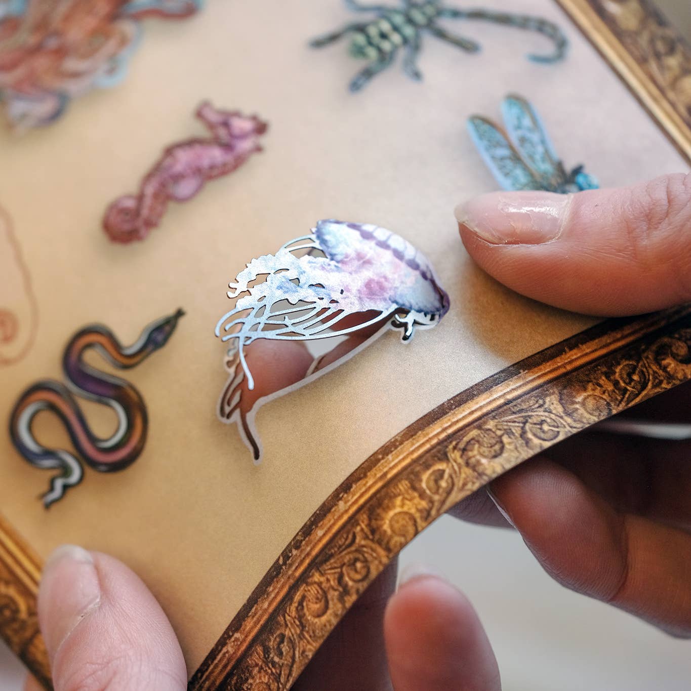 Moth and Myth - Wholesale Decorative Figurine - 'Biophilia' Micro Specimen Collection7